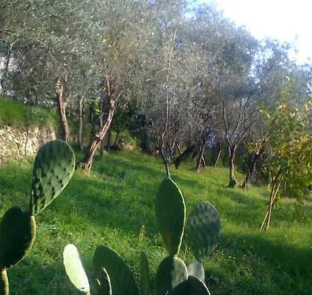 بيت للعطل Il Casone