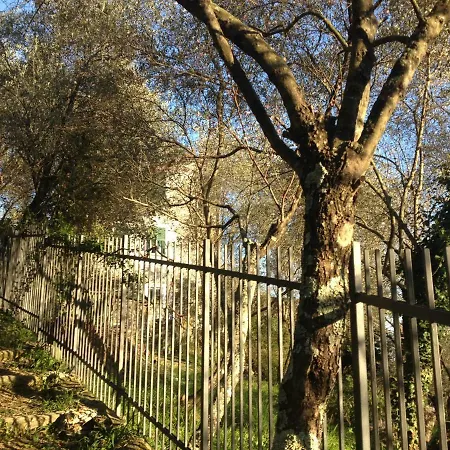 Il Casone * Rapallo