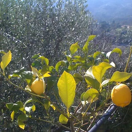 بيت للعطل Il Casone