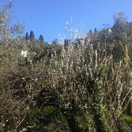 Dom wakacyjny Il Casone