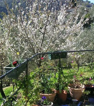 Il Casone *